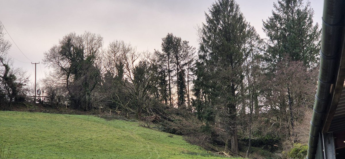 🌧️ Storm Darragh Update🌧️

The vast majority of customers who lost power as a result of the storm have now been restored. There are some pockets where small numbers of customers remain without power, and we have teams working around the clock to get them restored as soon as
