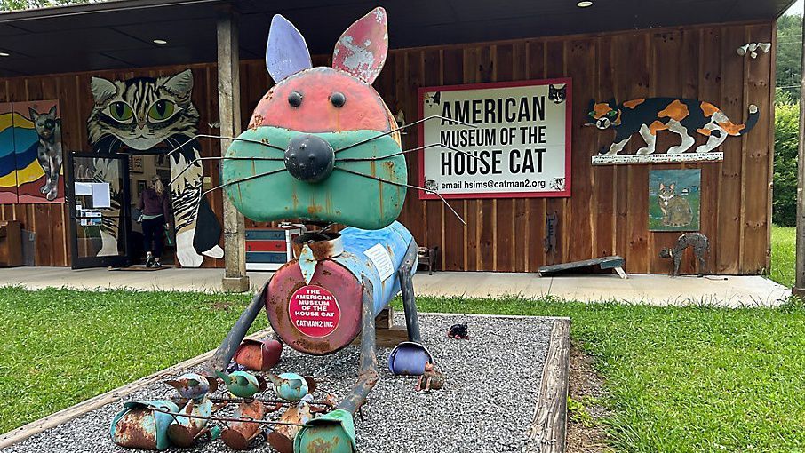 Cycle North Carolina tweet media