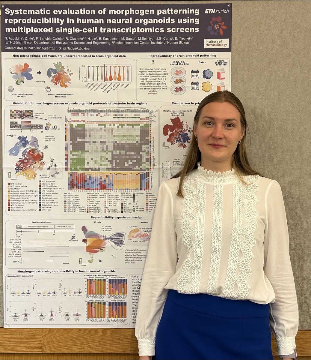 Nadezhda Azbukina (@nadyaazbukina) on Twitter photo Excited to have the opportunity to present our latest results at the #cshl2024brain meeting and get valuable feedback!
Stay tuned for our bioRxiv preprint coming out soon!
<a href="/TreutleinLab/">Treutlein lab</a>
#cshlbrain #oragnoids #singlecell #quadbio Excited to have the opportunity to present our latest results at the #cshl2024brain meeting and get valuable feedback!
Stay tuned for our bioRxiv preprint coming out soon!
<a href="/TreutleinLab/">Treutlein lab</a>
#cshlbrain #oragnoids #singlecell #quadbio