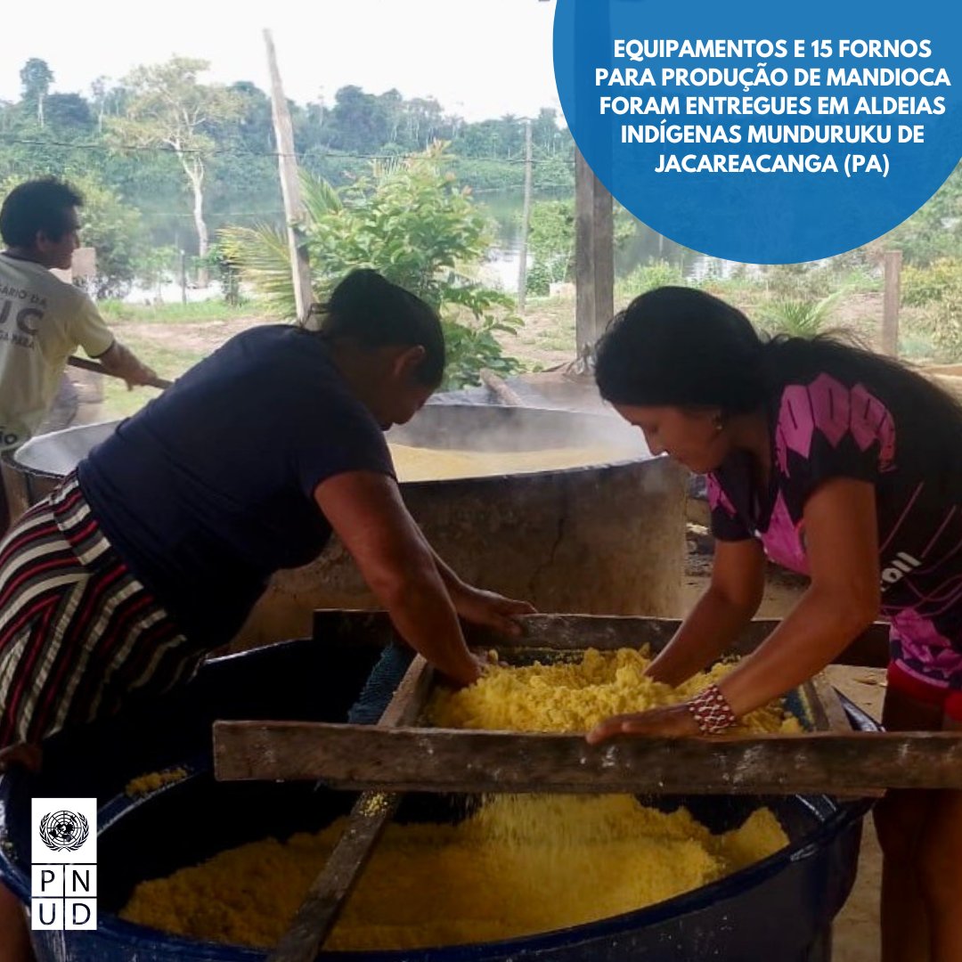 PNUDBrasil's tweet photo. Equipamentos e 15 fornos para produção de mandioca foram entregues nesta semana em aldeias indígenas munduruku de Jacareacanga (PA) como parte de parceria entre @Eletrobras, por meio da #CHTP, #PNUD e @BNDES. 🧵 https://t.co/sitVSz9zvt