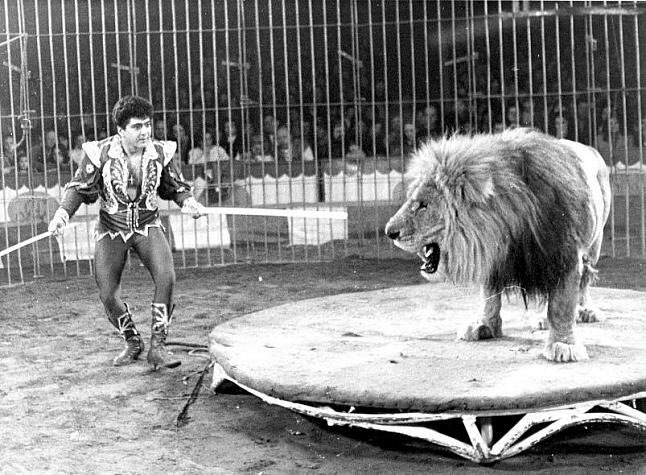 Dar clase la última semana antes de las vacaciones de Navidad.