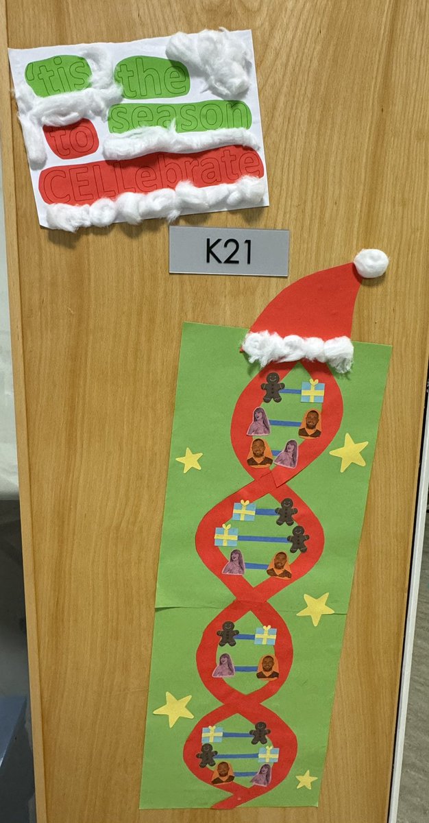 When you’re obsessed with Biology and Taylor Swift…🤣🎄🧬🫶 #biologyteacher #christmasdoor