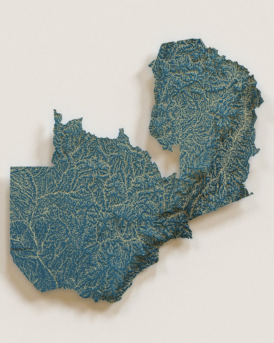 Sofia Lazar tweet media