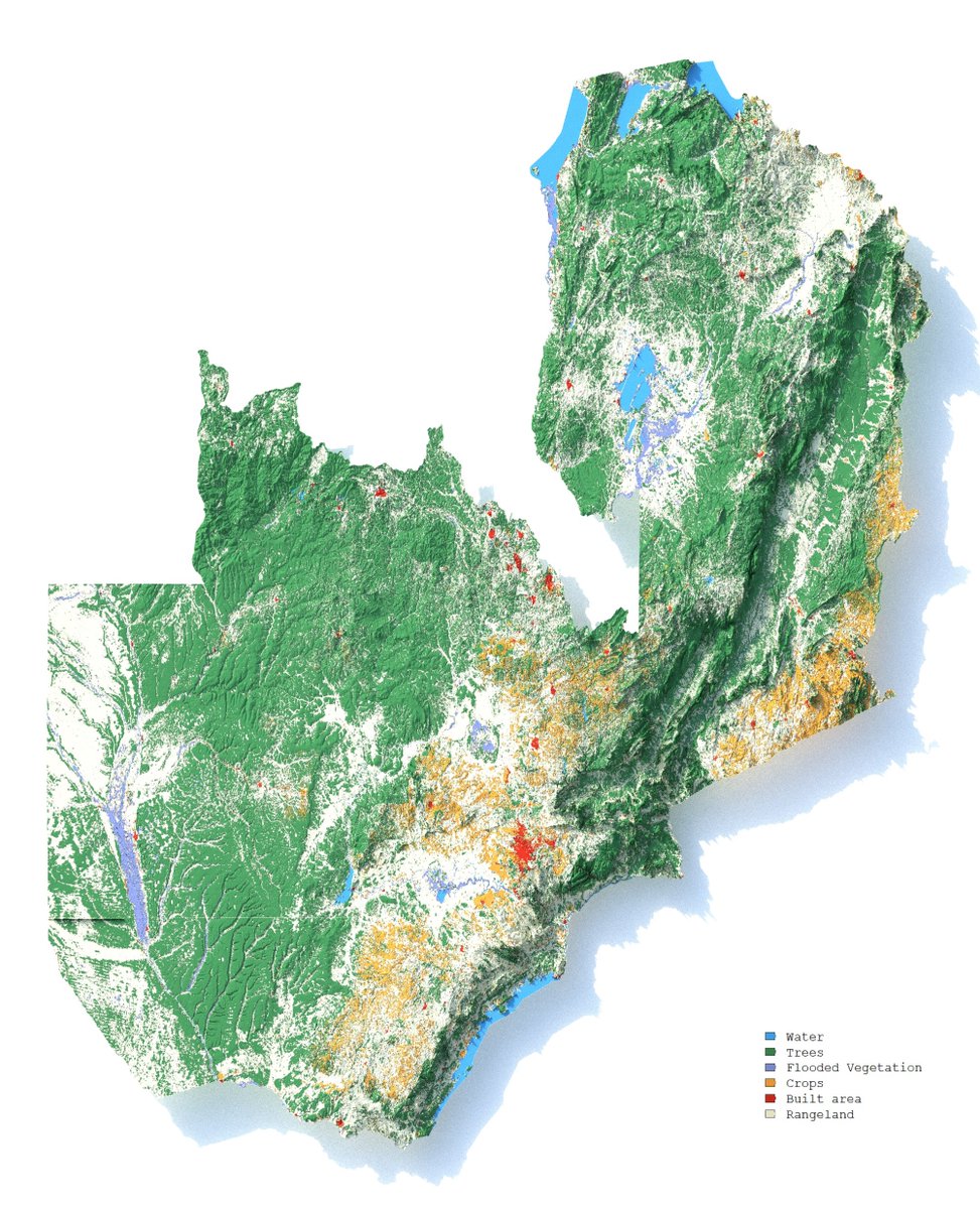 Sofia Lazar tweet media