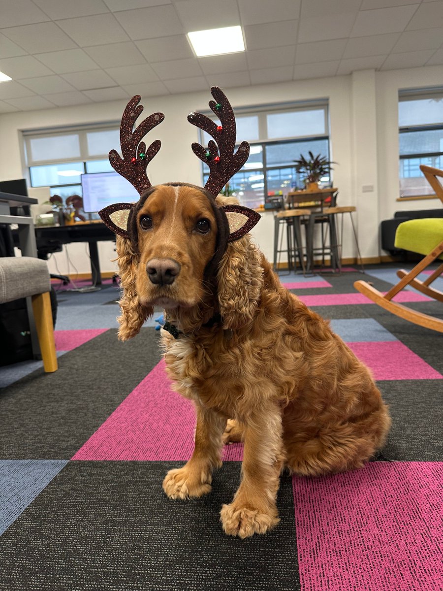 signinapp's tweet photo. Festive fun has hit the SIA office…  🎄💫

Festive pot luck? Check ✔️
Gingerbread house competition? Check ✔️
Garish Christmas jumpers? Double check ✔️

#SignInApp #OfficeLife https://t.co/G85pEJ2VOy