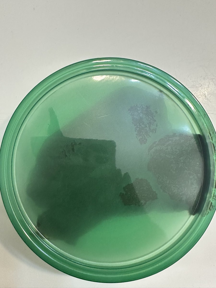gassyempress2's tweet photo. Sealed for freshness ☺️ https://t.co/Pr4YbW6yjK