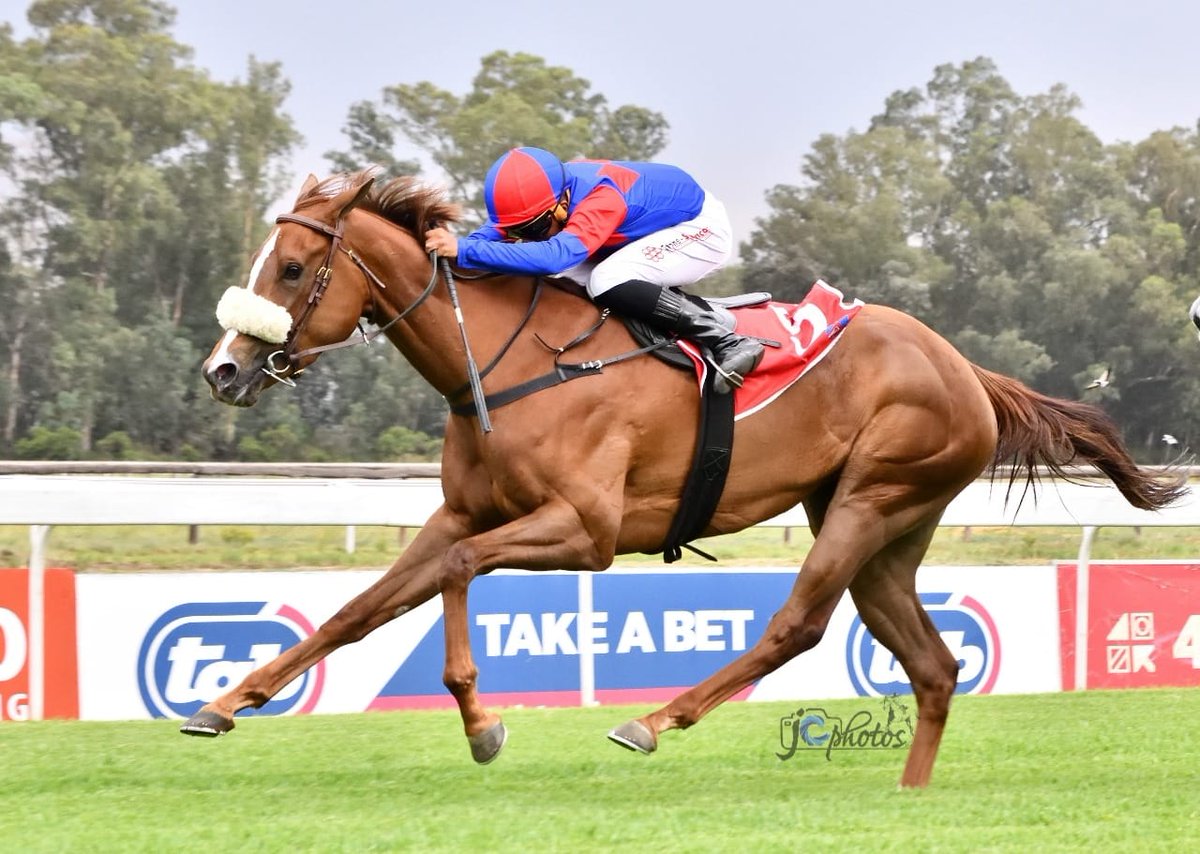 Miss Lia wins well! This daughter of Talk of The Town looks promising.  Born And Raised @ Winterbach Stud. Well done to the connections. 
Owner : Vasan Harry 
Trainer : Paul Matchett 
Jockey : P Mxoli 
Breeder : Mr Sherwin Jerrier