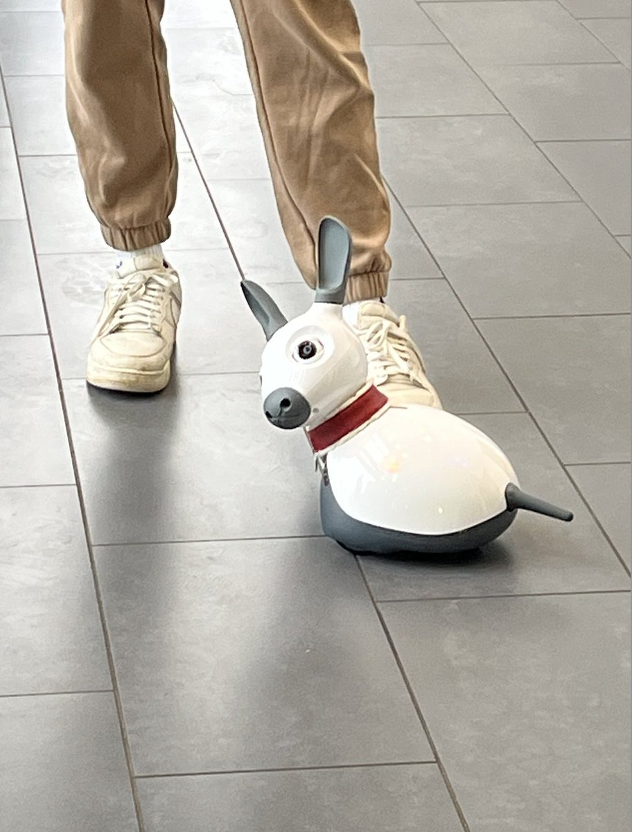 Cranfield IPHF tweet media