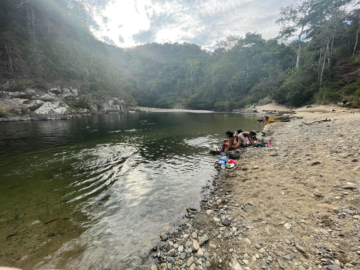 mediosindigenas's tweet photo. Las comunidades emberá del río Chagres, Panamá, exigen la derogación o la negociación de los cobros por servicios ambientales.   

Lee la entrevista completa a Andrea Lino Machi, líder comunitaria Emberá, aquí 👇🏼

 https://t.co/7maB06UmyH… https://t.co/ck9YAFtL4r