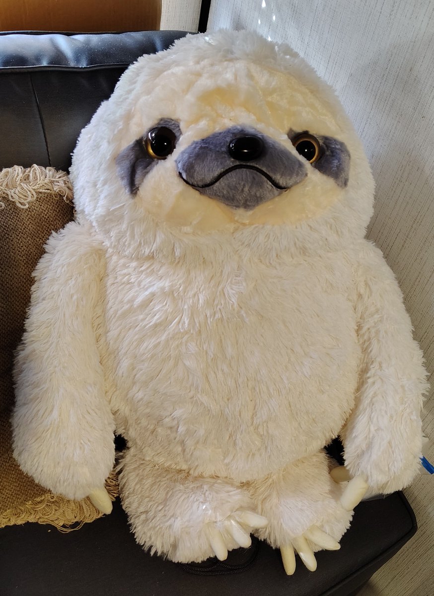 Lobotomized Sloth (@lobotomizdsloth) / Posts / X