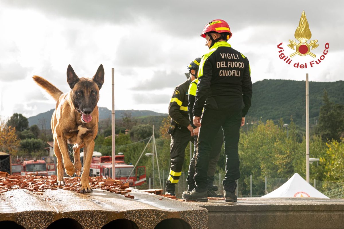vigilidelfuoco's tweet photo. Simo, Hermione e Joy. Sono questi i nomi dei tre nuovi colleghi a quattro zampe che insieme ai loro conduttori sono entrati a far parte del nucleo cinofilo della #Sardegna. Nelle immagini la loro prima esercitazione nel campo di addestramento per unità cinofile ad Iglesias (CA) https://t.co/EMOamA6A1u