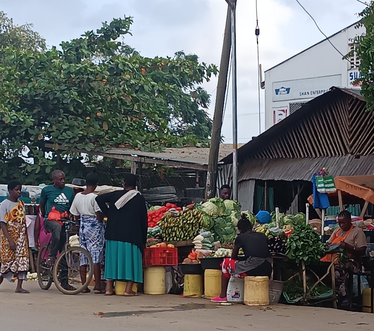 Mekatili_KE's tweet photo. @county_kil61868 @charlruto @HonMbetsa @GideonMungaroM @UraiaTrust @AfricaforSDGs @ACSAP_K @AminaMnyazi @giftrandu unakubaliana na hawa comrades? Vijana wakula ngumu huku Kilifi County lakini wao ni PR mingi na #Kasongo family. Kulima hawajui lakini wao ndio viongozi wa #ClimateActionNow . Tutaendelea lini?
#RutoMustGo #Throng #Amerix #KimaniIchung https://t.co/ooOwfqC3P8