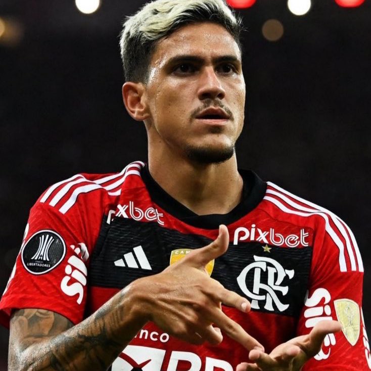 yannecrispim's tweet photo. No Fla, Pedro tem:

263 J
135 G
32 A

Os números indicam uma participação em gol em 63% dos jogos que o camisa 9 disputou com o Manto.

Foram 55 gols no Brasileirão, 24 na Libertadores, 16 na Copa do Brasil, 34 no Carioca, 4 no Mundial de Clubes, 1 na Recopa e 1 na Supercopa. https://t.co/0Q1q45KmEt