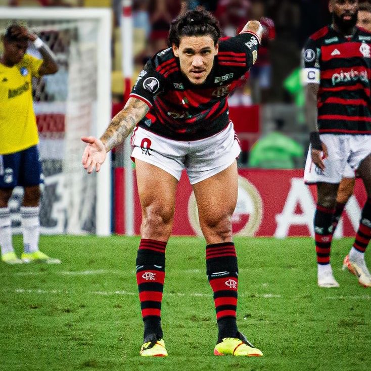 yannecrispim's tweet photo. No Fla, Pedro tem:

263 J
135 G
32 A

Os números indicam uma participação em gol em 63% dos jogos que o camisa 9 disputou com o Manto.

Foram 55 gols no Brasileirão, 24 na Libertadores, 16 na Copa do Brasil, 34 no Carioca, 4 no Mundial de Clubes, 1 na Recopa e 1 na Supercopa. https://t.co/0Q1q45KmEt