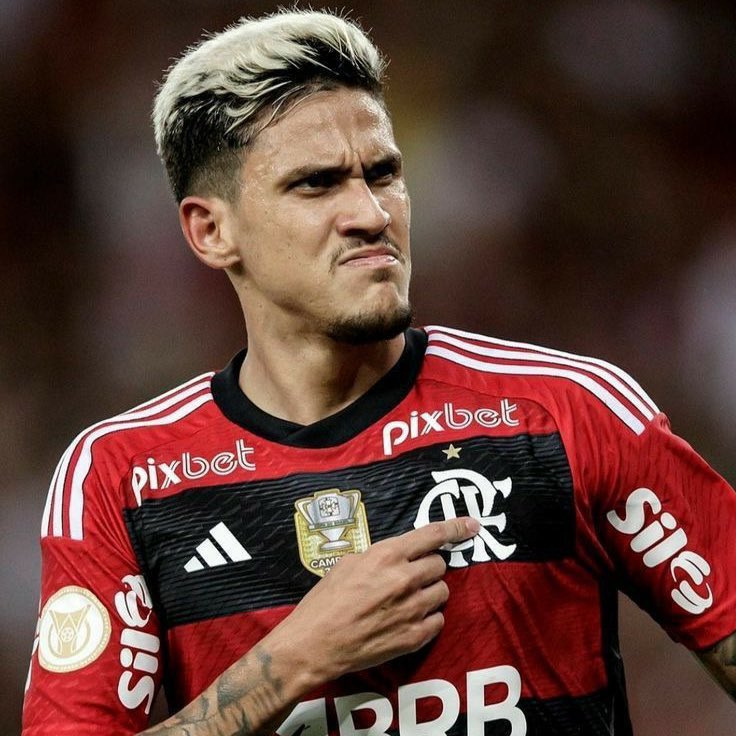 yannecrispim's tweet photo. Falando de prateleiras individuais, Pedro é:

• o 2° maior artilheiro do Flamengo na história da Copa Libertadores (24 gols)
• o 5° maior artilheiro brasileiro da Copa Libertadores (todos os 24 gols foram pelo CRF);
• o jogador que mais marcou gols em Mundiais pelo Flamengo. https://t.co/abFasa1Bxi