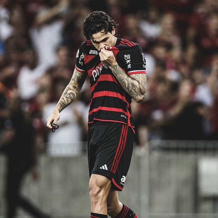 yannecrispim's tweet photo. Falando de prateleiras individuais, Pedro é:

• o 2° maior artilheiro do Flamengo na história da Copa Libertadores (24 gols)
• o 5° maior artilheiro brasileiro da Copa Libertadores (todos os 24 gols foram pelo CRF);
• o jogador que mais marcou gols em Mundiais pelo Flamengo. https://t.co/abFasa1Bxi