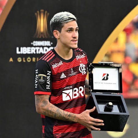 yannecrispim's tweet photo. Na Liberta 2022, Pedro foi artilheiro e Rei da América.

Dos 12G marcados, 3 foram na fase de grupos e 9 (!) foram no mata-mata.

4 gols e 1 assistência vs. Tolima, nas oitavas
1 gol vs. SCCP, nas quartas
3 gols vs. Velez, na Argentina
1 gol e 1 assistência vs. Velez, no Maracanã https://t.co/DXismSlxSa