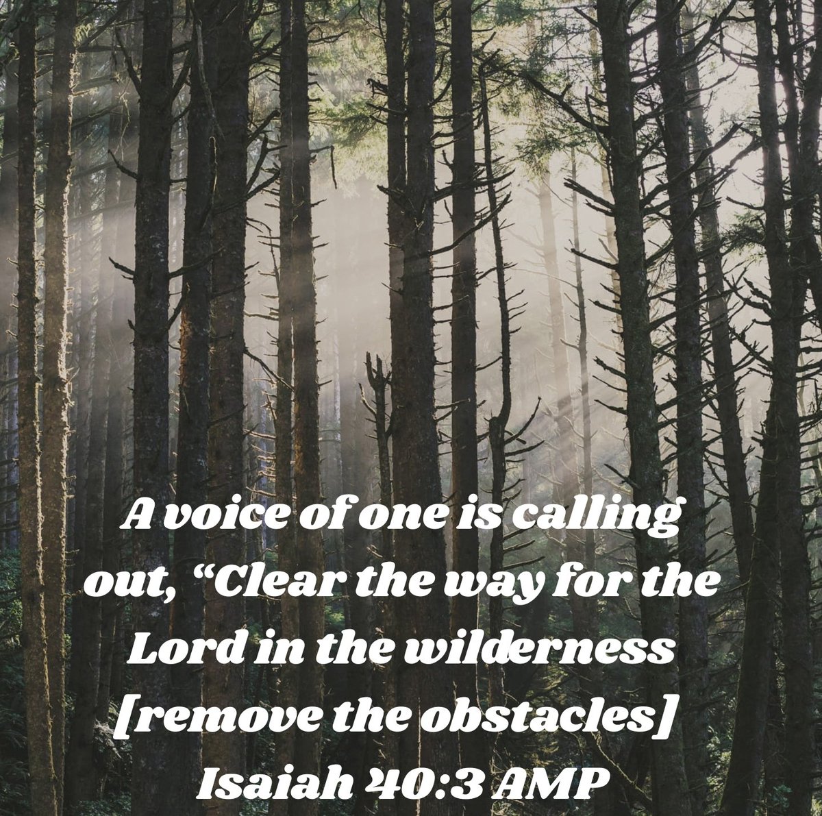 ImpactingYW's tweet photo. A voice of one is calling out, “Clear the way for the Lord in the wilderness [remove the obstacles]; Make straight and smooth in the desert a highway for our God.
Isaiah 40:3 AMP
#cleartheway #makeroomforgod #Jesus #JesusLovesU #impactingyw https://t.co/XWEXEHnhiB