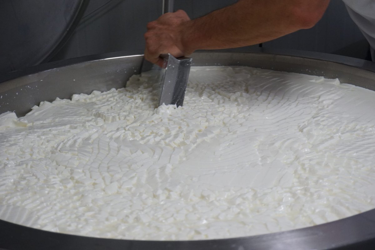 aralleida's tweet photo. Al cor del 📍 PALLARS SOBIRÀ, la Formatgeria Montsent elabora una àmplia varietat de formatges artesans 🧀: tendres, curats, brossat... i molt més 😋! Elaborats amb llet de cabra i ovella, són autèntics #AlimentsDeProp amb tot el #SaborADNLleida 🦋💚🌍 #BiosphereGoldDestination 🌱
➡️ https://t.co/tJjdau30qR