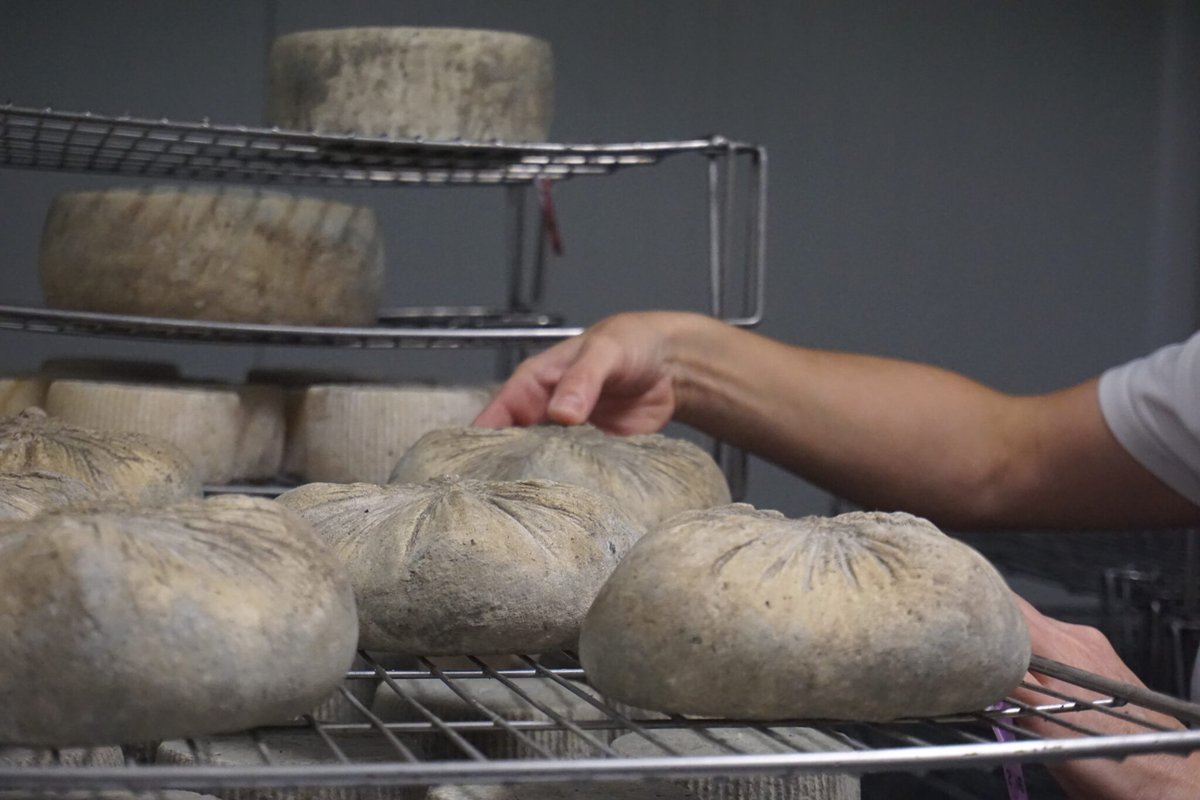 aralleida's tweet photo. Al cor del 📍 PALLARS SOBIRÀ, la Formatgeria Montsent elabora una àmplia varietat de formatges artesans 🧀: tendres, curats, brossat... i molt més 😋! Elaborats amb llet de cabra i ovella, són autèntics #AlimentsDeProp amb tot el #SaborADNLleida 🦋💚🌍 #BiosphereGoldDestination 🌱
➡️ https://t.co/tJjdau30qR
