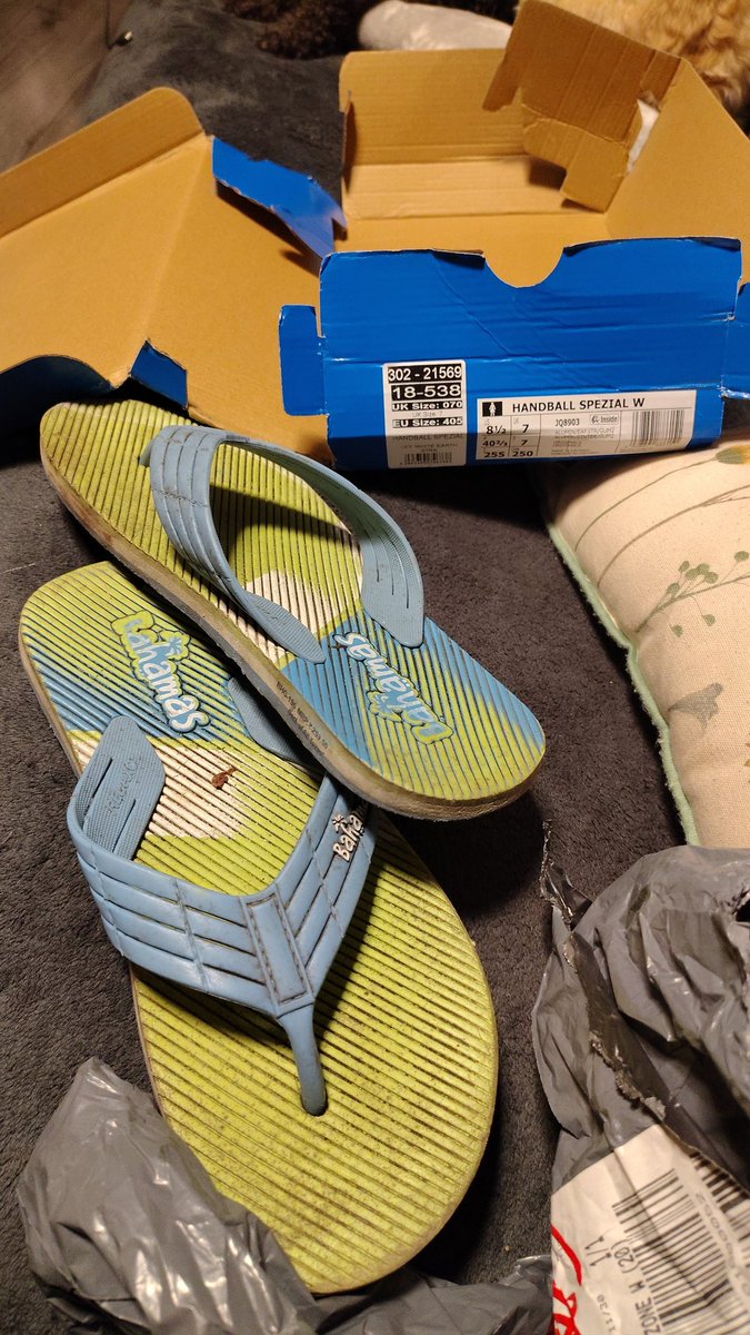 stubo30's tweet photo. @OfficeShoes ordered a pair women's handball spezical came today but not what I ordered,these are what came,do you think this is a bloody joke I have waited over 2 weeks https://t.co/ERESzuUezB