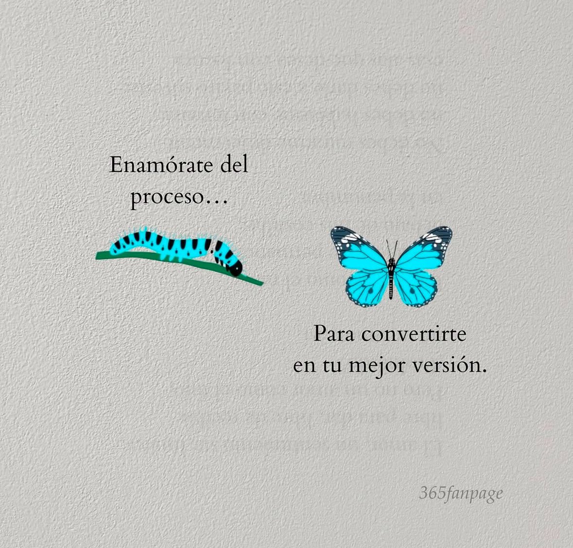 Confía en tú proceso ✨