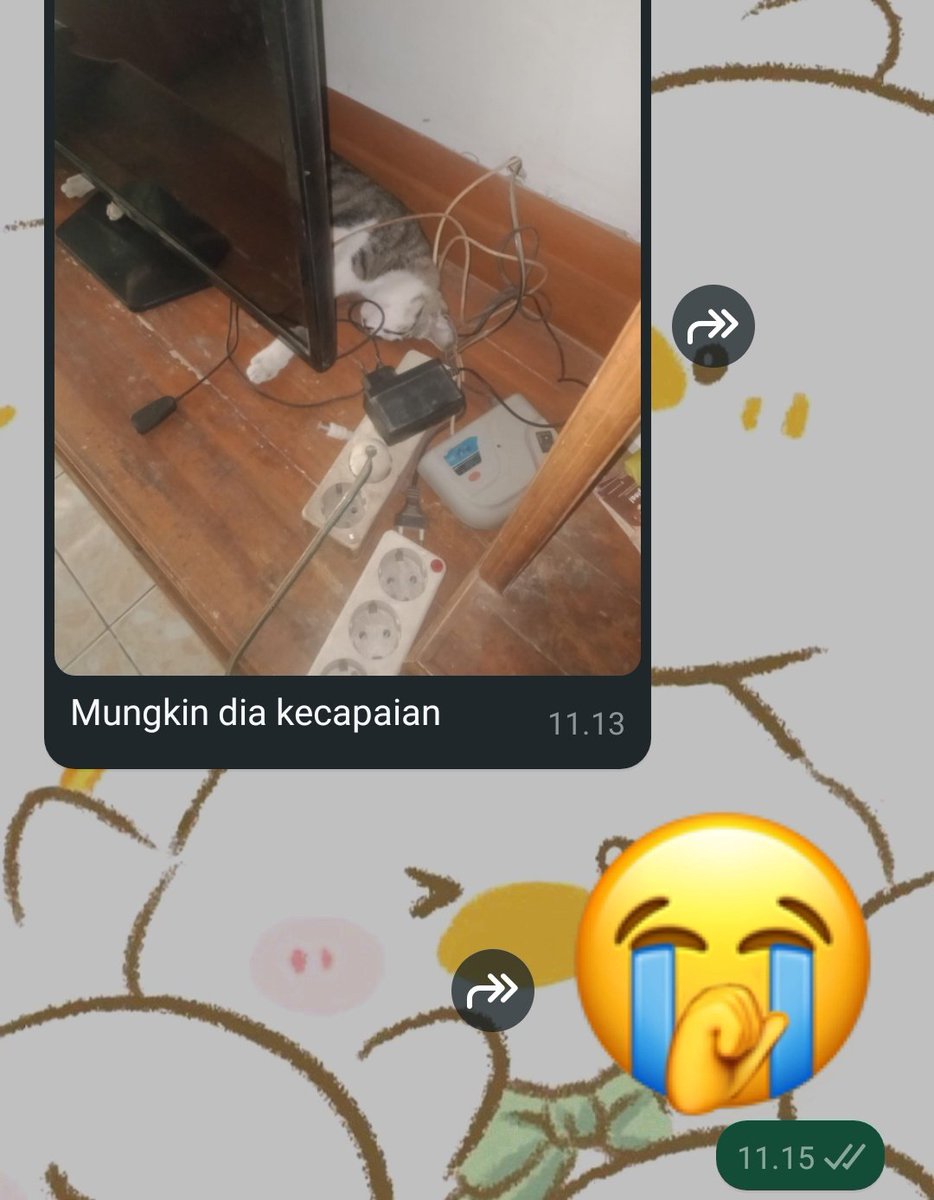 bbeyluxe's tweet photo. @convomf kalo ga tentang duit ya tentang kucing sih, blio lebih suka ngobrol lewat vc buat mastiin anaknya ga berubah jadi gembel https://t.co/MjWkBQnz7m