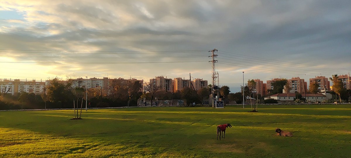 ubriqui's tweet photo. @Ayto_Sevilla en vez de gastar ese dinero para alumbrar esta maravilla de sitio y que podamos estar hasta una hora razonable con los perritos https://t.co/PC3amUC6BU