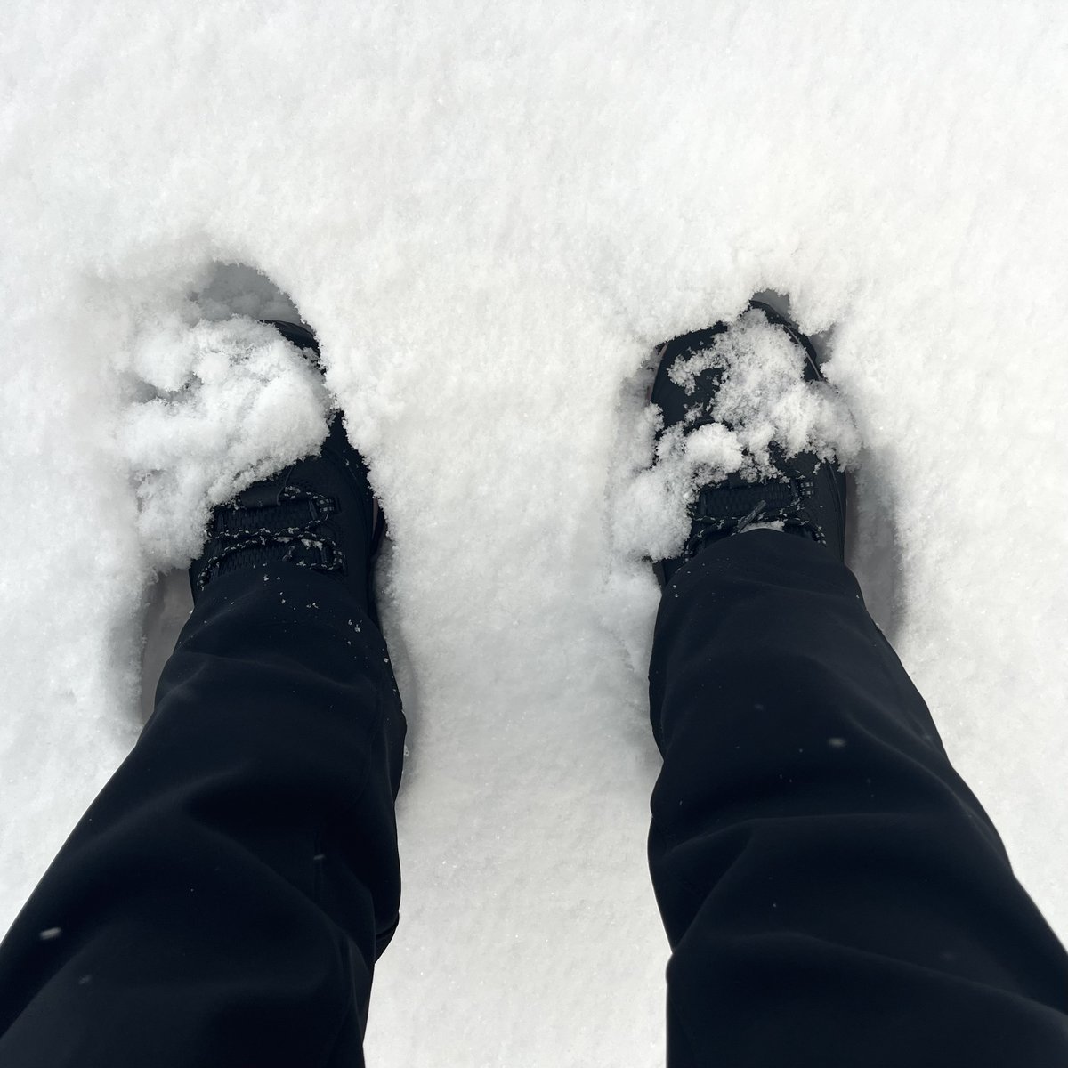 Soph_astro's tweet image. _-_ Journal de bord d’une #astronaute #ESA _-_
{Montréal 🇨🇦} Semaines 28-29 🗓️

Transition de Houston / 20°C / t-shirt
-&amp;gt; Montréal / -10°C / 20cm de neige ❄  / grosse doudoune ! Haha !

Je suis au Canada 🇨🇦 pour une formation aux opérations robotiques de 2 semaines. J'apprends à