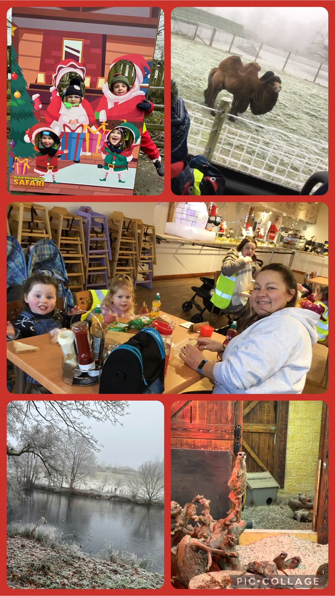 Tillicoultry ELC tweet media