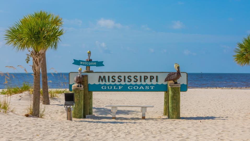 Mississippi Development Authority tweet media