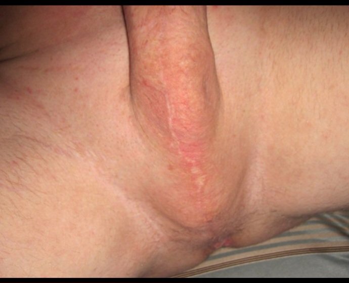 slavechef tweet media