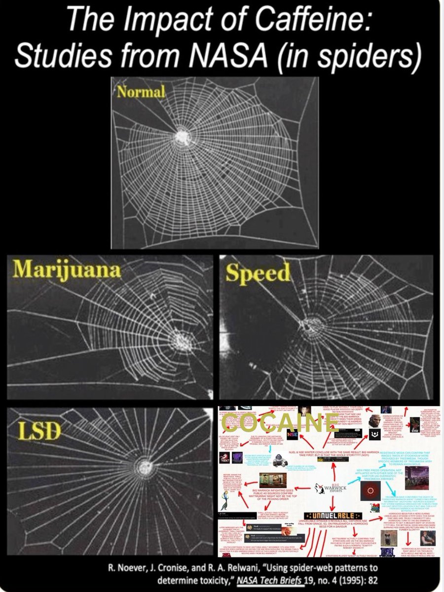 Co0lbeans69 tweet media