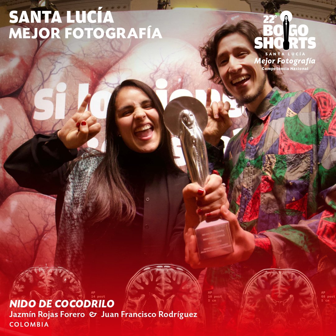 🏆MEJOR MÚSICA: El mundo es afuera - Luci Le y Li M Pérez

🏆MEJOR DIRECCIÓN DE ARTE: Don’t Look Away (The Plot In You) - Daniela Franco

🏆MEJOR FOTOGRAFÍA: Nido de Cocodrilo - Jazmin Rojas Forero y Juan Francisco Rodríguez