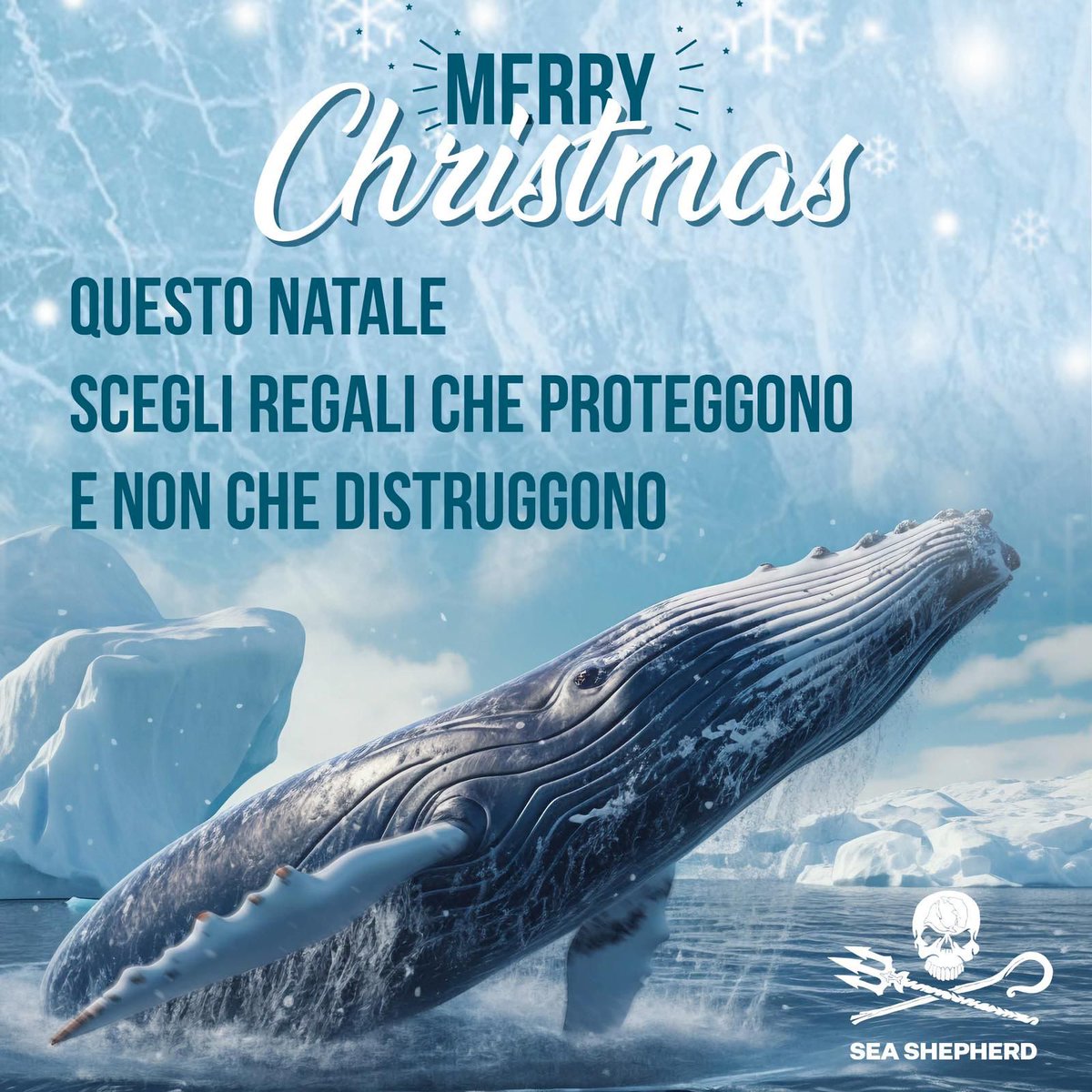 Sea Shepherd Italia tweet media
