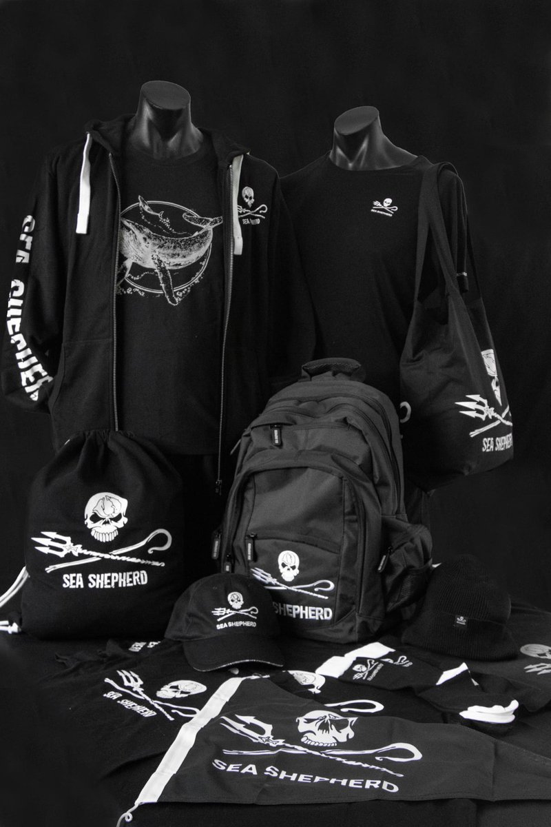 Sea Shepherd Italia tweet media