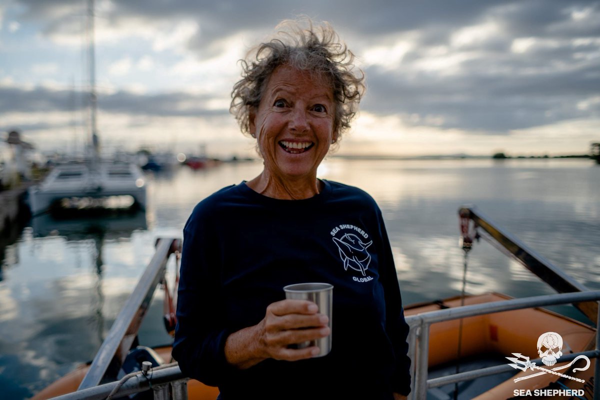 Sea Shepherd Italia tweet media