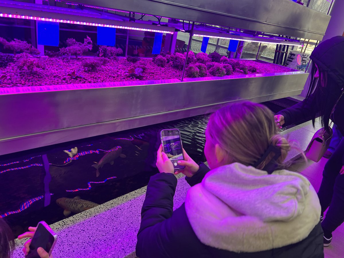 Taft_HS's tweet photo. 🦅 Senior Seminar Students braved the cold for an unforgettable trip to Loyola University! Students toured the beautiful campus, connected with the community, and gained valuable insights into their academic programs! Go Eagles! #LearnPlanSucceed @ChiPubSchools https://t.co/10kecrFzNu