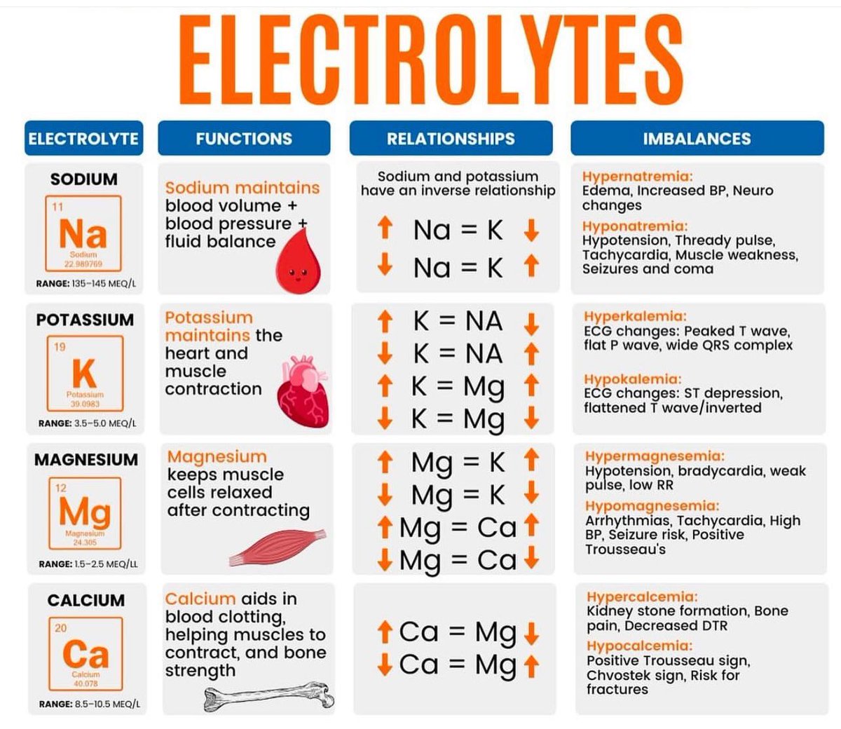 DrMedica_13's tweet photo. Electrolytes 🩸

✨✨✨
#MedEd #MedX #Labs #Diagnosis https://t.co/SHJIzwnMRG