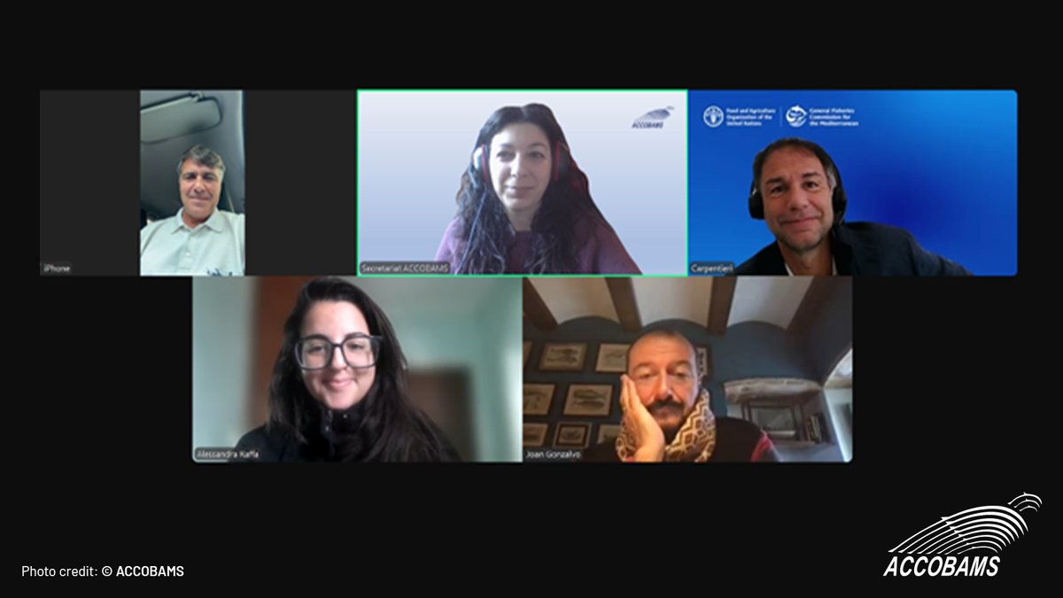 🌍 Collaborative solutions for the oceans—ACCOBAMS and <a href="/Marecamp_CT/">Marecamp association</a> lead the way in reducing bycatch and depredation impacts.

The Depredation-3 project is a step toward sustainable fisheries.

#SustainableFisheries