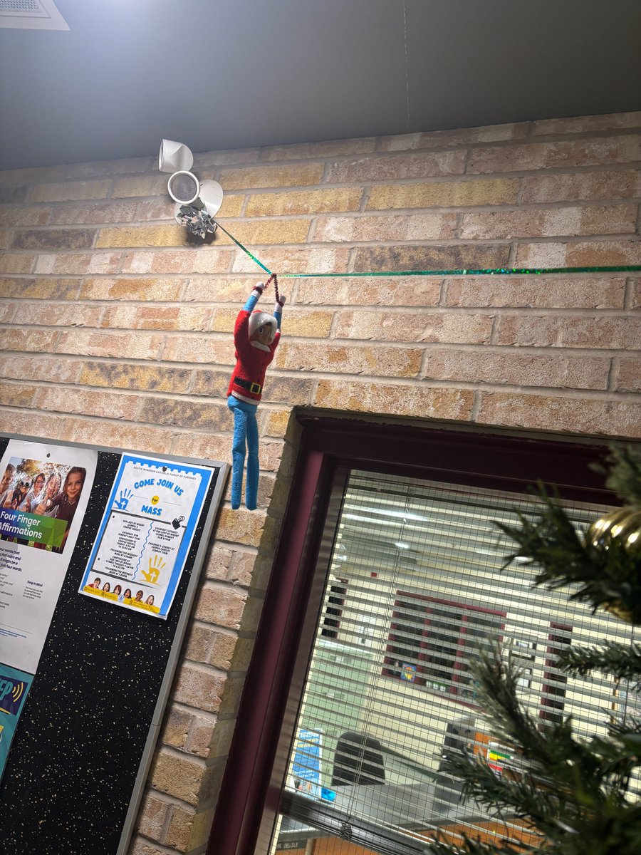 Today, Walter seemed to have more energy because we found him zip lining in the foyer!