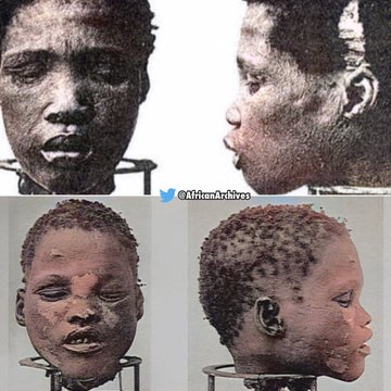 AfricanArchives's tweet photo. German colonizers in Namibia, due to their interest in evolutionary theory &amp; missing links executed inmates and decapitated them.

Herero women were required to remove all flesh from the heads to create clean skulls suitable for shipment for study in German Institutes.

A THREAD https://t.co/2I4Sr39DL9