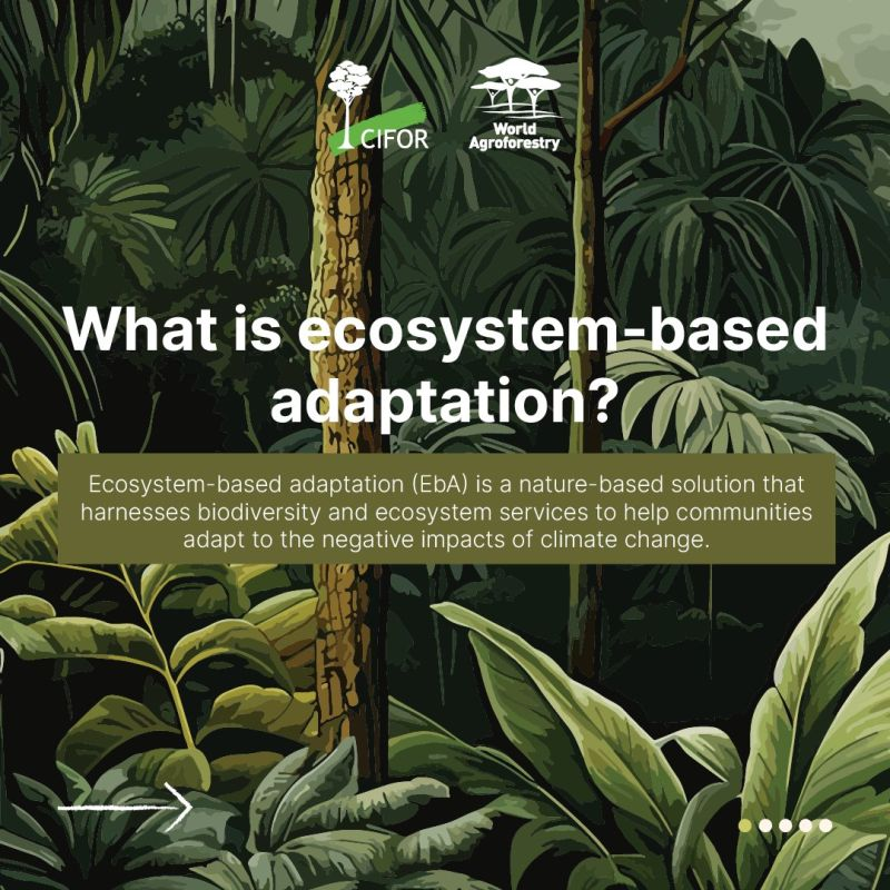 UN Biodiversity (@unbiodiversity) on Twitter photo Ecosystem-based adaptation (EbA) goes beyond environmental protection – it safeguards people and communities too.
Healthy ecosystems provide:
💧 Reduced flooding
🌅 Mitigated droughts
🌊 Prevented landslides
💨 Improved air and water quality
via <a href="/CIFOR_ICRAF/">CIFOR-ICRAF</a> Ecosystem-based adaptation (EbA) goes beyond environmental protection – it safeguards people and communities too.
Healthy ecosystems provide:
💧 Reduced flooding
🌅 Mitigated droughts
🌊 Prevented landslides
💨 Improved air and water quality
via <a href="/CIFOR_ICRAF/">CIFOR-ICRAF</a>