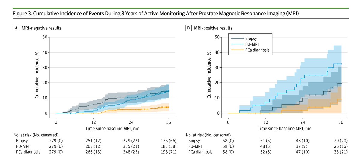Men with clinically suspected prostate cancer and negative MRI results can safely avoid biopsies with appropriate monitoring, validating the high negative predictive value of prebiopsy MRI in community healthcare settings. ja.ma/41vdL02