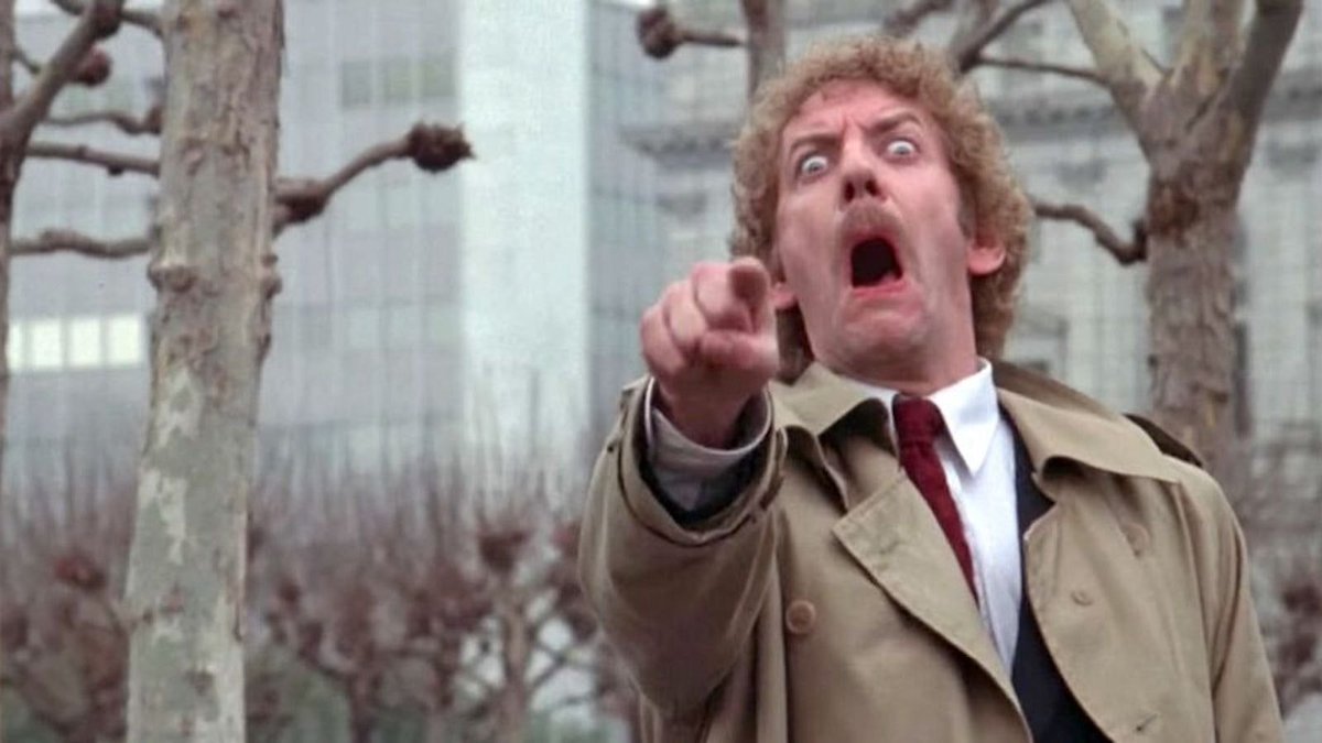 Big Stargazer tweet media