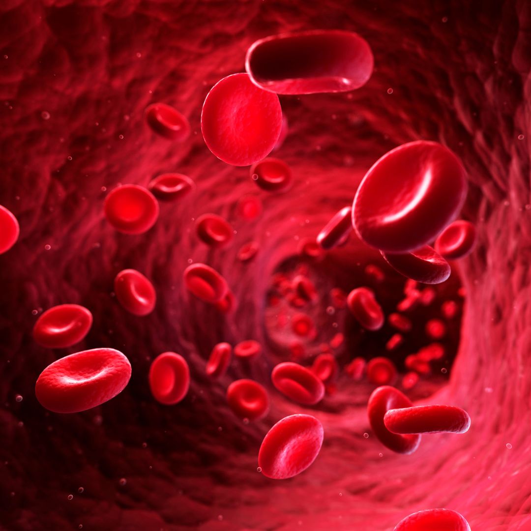 AndersonFamouss's tweet image. Red blood cells, essential for oxygen transport, are just 6-8 micrometers in diameter. Imagine billions of these tiny cells working tirelessly inside your body! ❤️🩸 

#universalintelligence #wearablemicroscopes #autonomouseyewear #microlennials