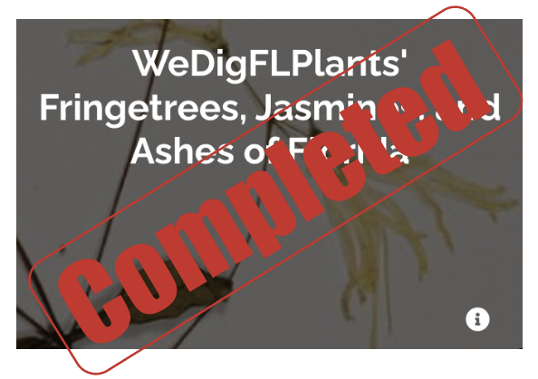 WeDigFLPlants tweet media