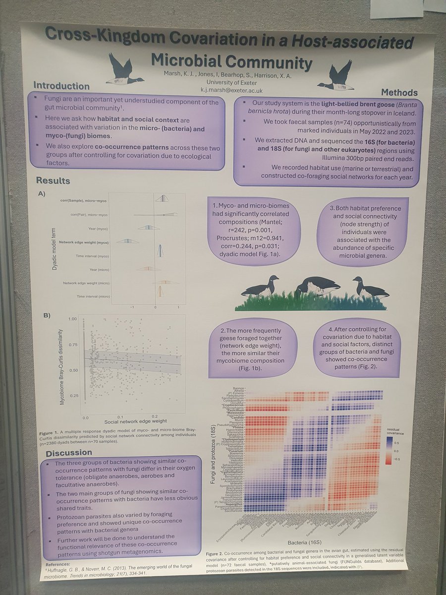 Wild Microbiome Lab (@wildmicrobiome) on Twitter photo We're at BES 2024 in Liverpool! Double-whammy of talks by <a href="/XavHarrison/">Xav Harrison</a> and Natasha Hammond followed by a poster by <a href="/KirstyMarshy/">Kirsty Marsh</a>. What a day We're at BES 2024 in Liverpool! Double-whammy of talks by <a href="/XavHarrison/">Xav Harrison</a> and Natasha Hammond followed by a poster by <a href="/KirstyMarshy/">Kirsty Marsh</a>. What a day