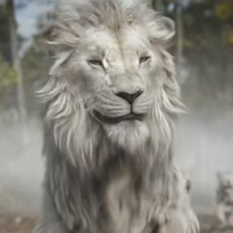 fredxcake's tweet photo. The creators got this on point https://t.co/HlzCIeetQL
