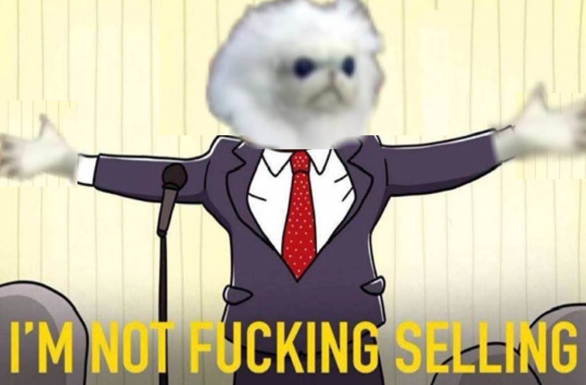 GuhT tweet media